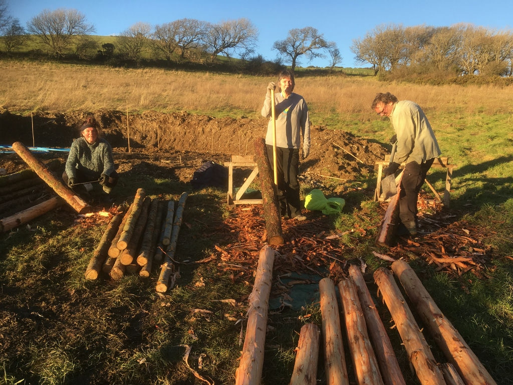 stripping bark
