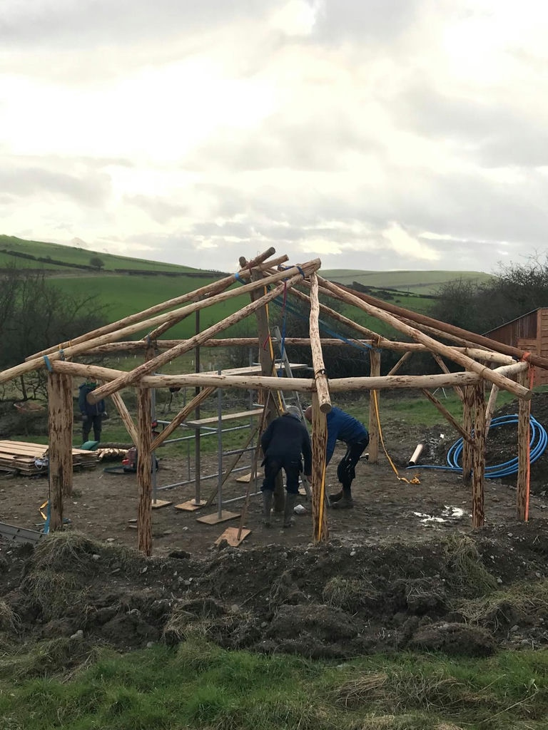 larch-pole-roundhouse-roof-beams-2